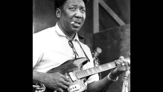 Muddy Waters-Got My Mojo Working/Lyrics