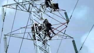 preview picture of video 'CEB Hotline(132kV) maintenance'