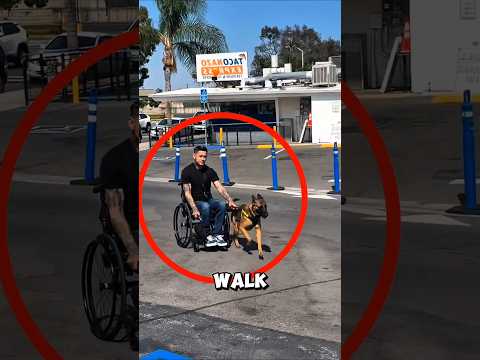 This Smart Dog Pulled His Owner Everywhere With Love #animals #love #shorts