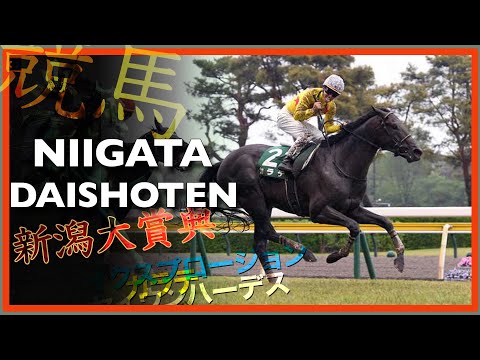 2023 NIIGATA DAISHOTEN | Karate, Seiun Hades & Spider Gold 新潟大賞典