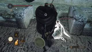 ３姉妹で旅するダークソウルⅡ５