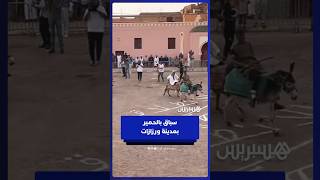 سباق بالحمير بمدينة ورزازات وسط أجواء احتفالية thumbnail