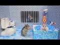 🐹Hamsters Escapes the Awesome 5-Star Luxury Prison Maze with Bathtub🐹 for Pets in real life