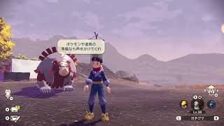 喋る、色違いガチグマ！！ #ポケモン#ポケモンアルセウス#ポケモンレジェンズアルセウス#ポケモンレジェンズ