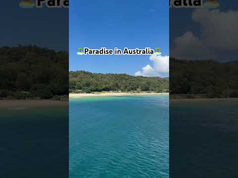 😍The most beautiful place in Australia? #moretonisland 🏝️ (Private Island) #australia