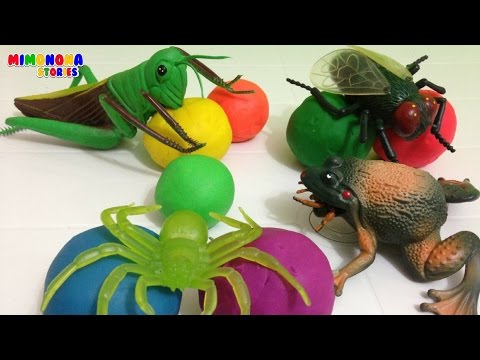 Animales para niños | Insectos Anfibios Aracnidos | Mimonona Stories Video