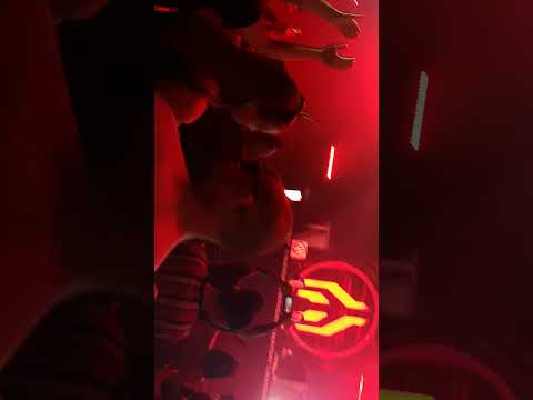 Pet duo Mayday 2023 Poland