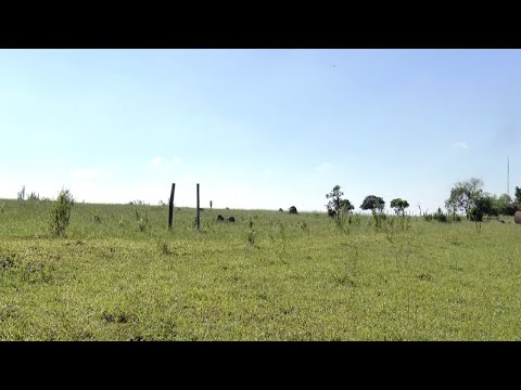 Rio Claro anuncia construção de quase mil moradias