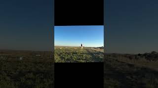 Video 1