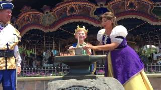 I pulled the Sword from the Stone and became Hero of Fantasyland!! ⭐️