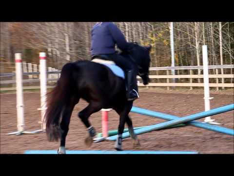 Lina & Come Near Me "Bror"