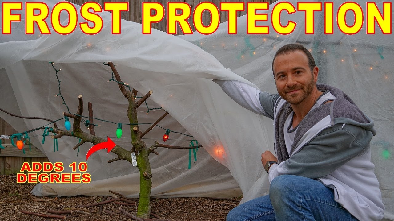 How To Use Frost Blankets, Frost Cloth And Row Rovers Properly