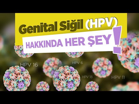 rendellenes hpv nem demek