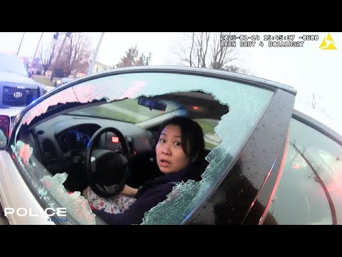 Entitled Driver Flees Every Traffic Stop, Never Ends Well