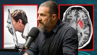 Andrew Huberman - How Porn Addiction Destroys Men’s Brains