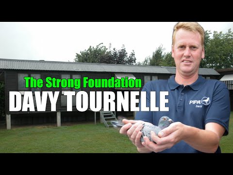 DAVY TOURNELLE - "The Strong Foundation" National and International successes in the pigeon sport