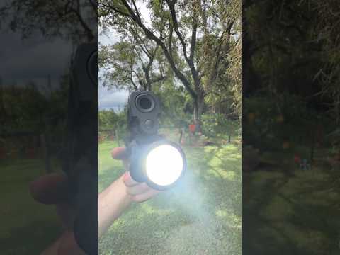 Reset Is Incredibly Short