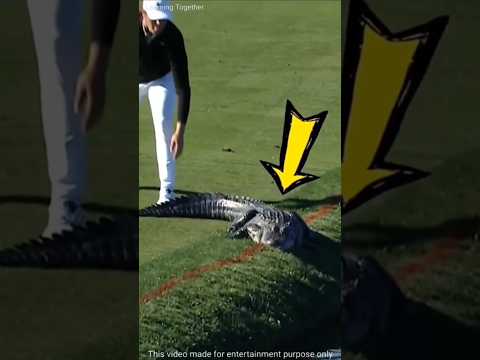 ഒരു pro golfer ഇങ്ങനെ ആയിരിക്കും👍🏻| #shorts #malayalam #youtubeshorts