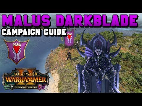 Malus Darkblade Beginner's Campaign Guide (First 20 Turns - Vortex) | the Shadow and the Blade