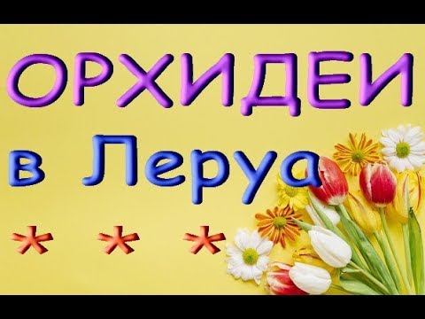 ЛЕРУА:шикарный ЗАВОЗ ОРХИДЕЙ(редкий пелорик,Клеопатра-мутант,биглип),25.02.20.ТЦ"Космопорт",Самара.