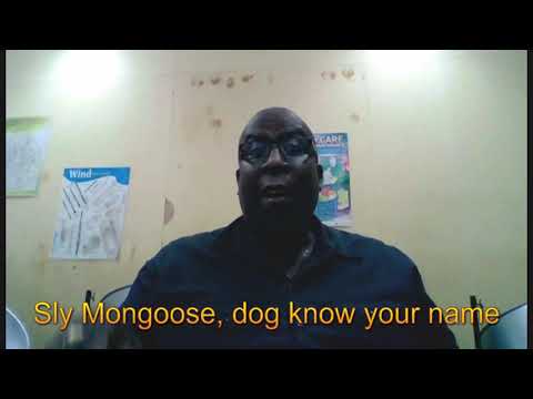 Sly Mongoose, Learning The Song