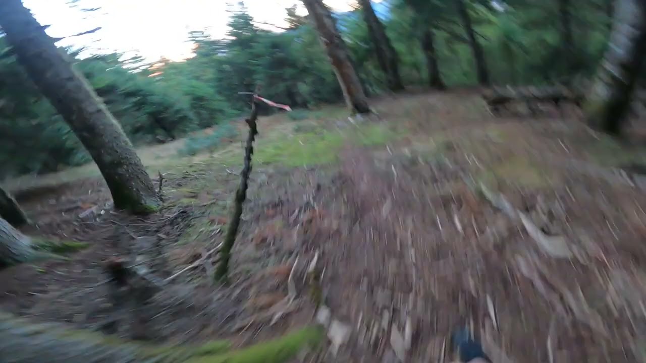 Argithea Mountain Race (A17 downhill)
