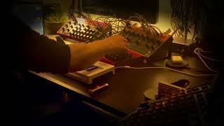 analog spice - nightly jam