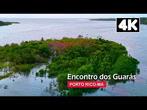 ENCONTRO DOS GUARÁS  |  Porto Rico do Maranhão
