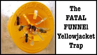 Testing Out The Fatal Funnel Yellowjacket Trap.   Mousetrap Monday