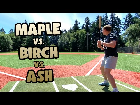 ASH vs MAPLE vs BIRCH - Which is better? Wood Baseball Bat Reviews