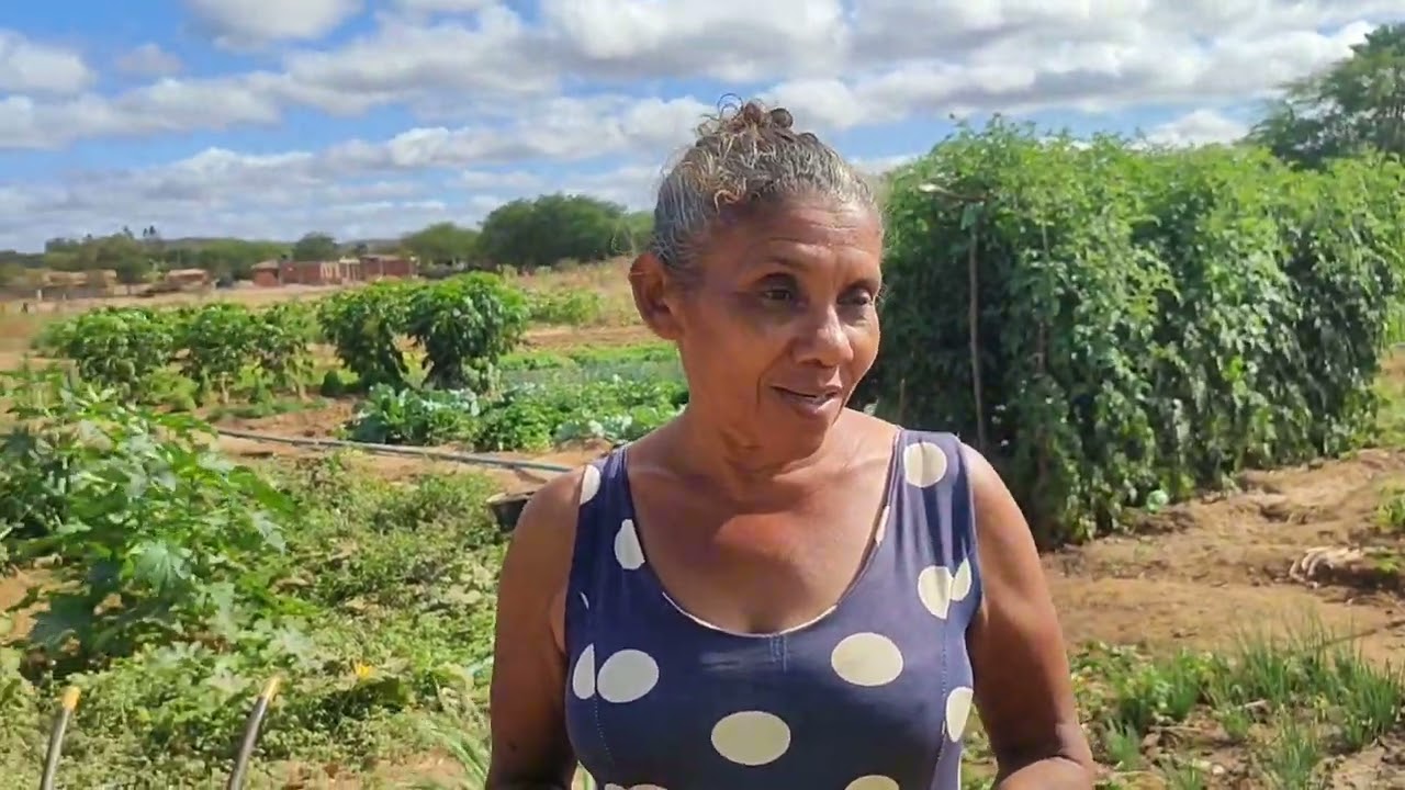 Trabalhadores Simples, Direito e Honestos no Sertão Pernambuco, Verdejante Pe.