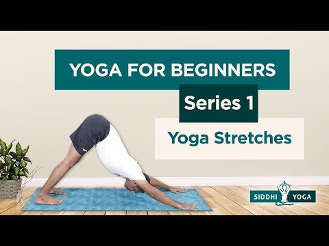 Yoga Stretches for Beginners (Sukshma Vyayama) by Yogi Sandeep - Siddhi Yoga