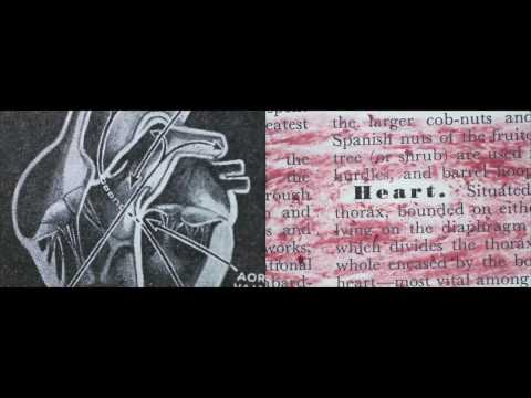 The Wave Pictures - Sweetheart