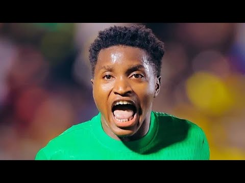 bg-highlight