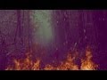 Wovenhand - The Refractory (HD) 