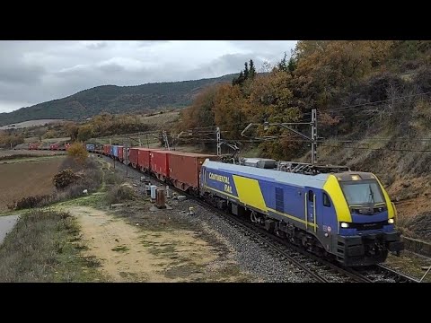 256 Euro6000 Continental Rail+Teco en Pobes (Araba)13/12/202##