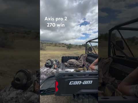 Savage Axis 2 XP .243 Winchester Review - RGO #510