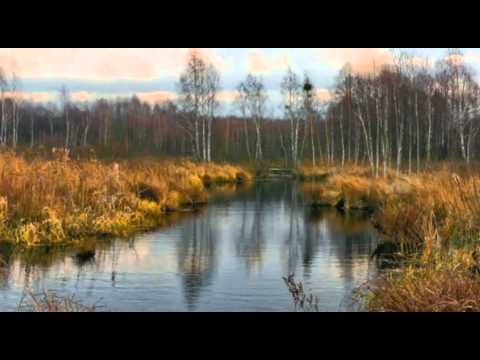 Ніна Матвієнко та тріо "Золоті ключі". Тернова ружа.