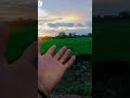 Tirending Automobile Viral Hollend Ytshorts Dance Hollandlovers Farmer