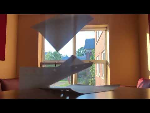 Shape Constancy Example