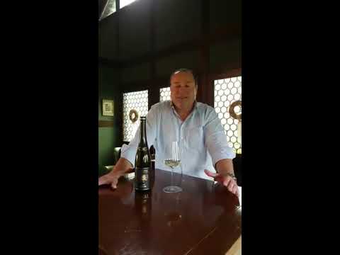 Saar Riesling, Weingut Nik Weis - St. Urbans-Hof | weinhelden.de