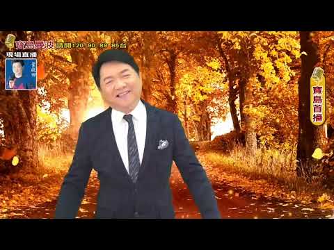 寶島曼波葉啟田-路邊彼個小姐