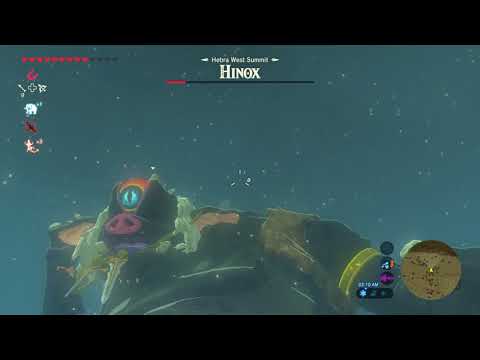 The Legend of Zelda: Breath of the Wild Boss # 63: Black Hinox (5th Time)