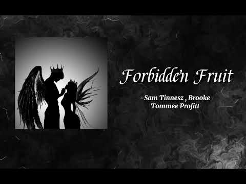 FORBIDDEN FRUIT - Samn Tinnesz , Brooke and Tommee Profitt for 15 minutes loop #trending