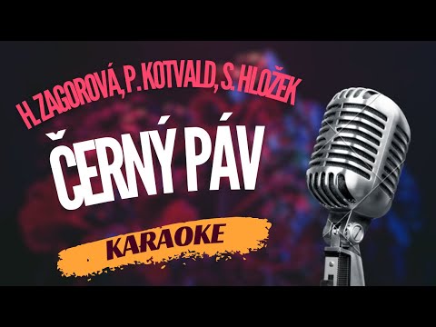 Karaoke - Hana Zagorová, Petr Kotvald, Stanislav Hložek - 