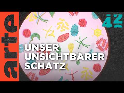 Video Thumbnail: Beherrscht uns das Mikrobiom? | 42 - Die Antwort auf fast alles | ARTE