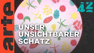 Beherrscht uns das Mikrobiom? | 42 - Die Antwort auf fast alles | ARTE