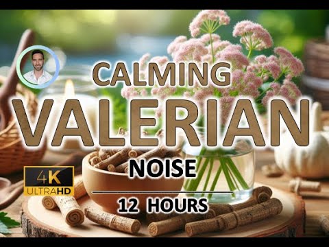 Calming Valerian Root Brown Noise | 12 Hours | Black Screen | For Sleep, Stress and Tinnitus Relief