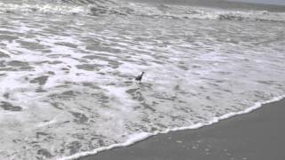 Love Never Broke Anyone&#39;s Heart (cover)