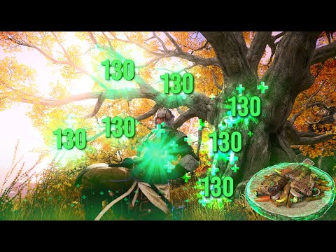 Broken Food Exploit... Gives Insane Health Regen